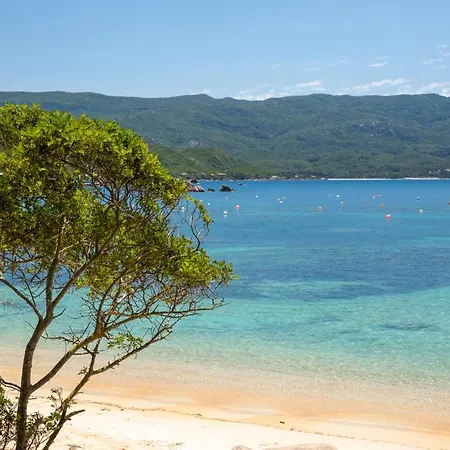 Semesterbostad Maison De 2 Avec Vue Sur La Mer Jardin Clos Et Wifi A Pietrosella